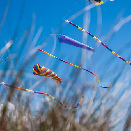 Ferienhaus Haus Dünenglück