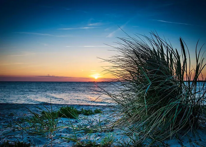 Haus Duenenglueck Feriehus